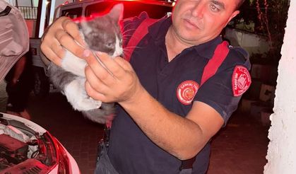 Otomobilin motor kısmına girerek sıkışan yavru kedi ekipleri seferber etti