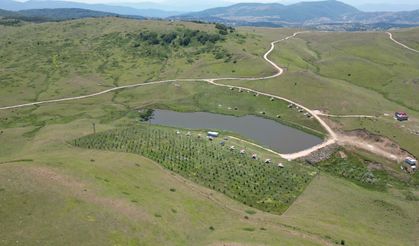 Hebüllü Halkı İmece Ruhuyla Doğa Harikası Yarattı