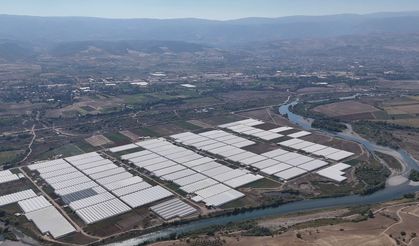 Otlaklar, İstihdamın ve Üretimin Seralarına Dönüştü