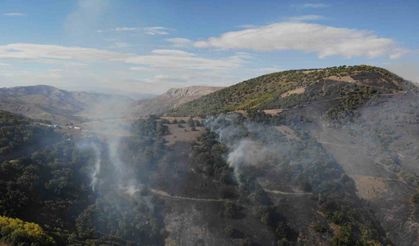 Gümüşhane’deki orman yangınında 30 hektar alan küle döndü