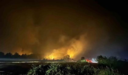 Kastamonu yangını Safranbolu köylerinin sınırına dayandı