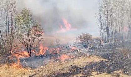 Yozgat’ta peş peşe çıkan yangınlar korkuttu