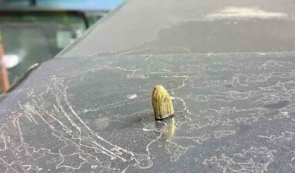 Artvin'de maganda kurşunu park halindeki araca ve iş yerine isabet etti