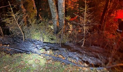 Artvin'de zirai alanda yangın kısa sürede söndürüldü