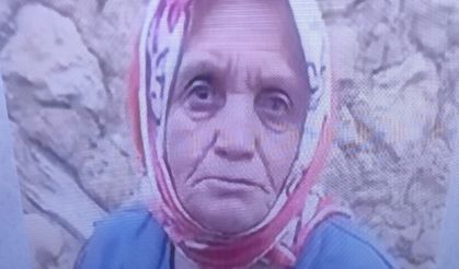 Mantar toplamak için gittiği ormanlık alanda cansız bedeni bulundu