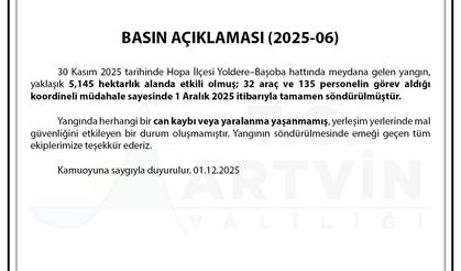 Artvin Valiliği: 'Hopa'daki orman yangını tamamen söndürüldü'