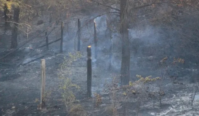 Amasya’da ormanlık alanda çıkan yangında hasarın boyutu böyle görüntülendi