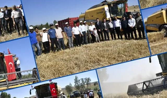 ARTOVA'DA TARLA GÜNÜ: BUĞDAY HASADI YAPILDI