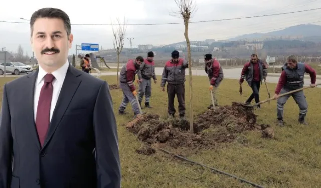 FİDANLAR TOPRAKLA BULUŞUYOR, TOKAT’A NEFES OLUYOR