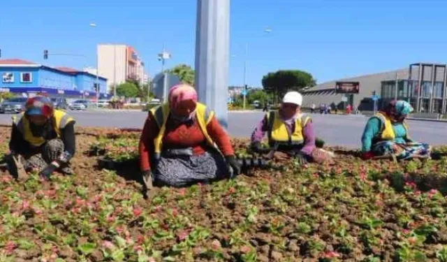 Kadınların yakıcı güneş altında ekmek mücadelesi: Şehri onlar süslüyor
