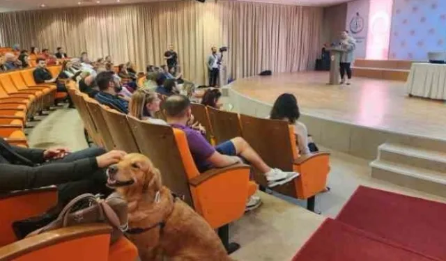 Samsun’da Hayvan Hakları Çalıştayı