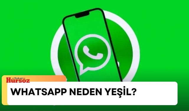 WhatsApp neden yeşil? WhatsApp bildirimi neden yeşil, neden maviden yeşile döndü?