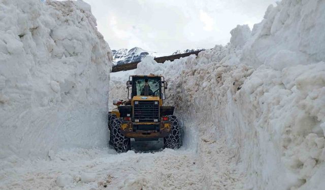 Trabzon yaylalarında karla mücadele çalışması sürüyor