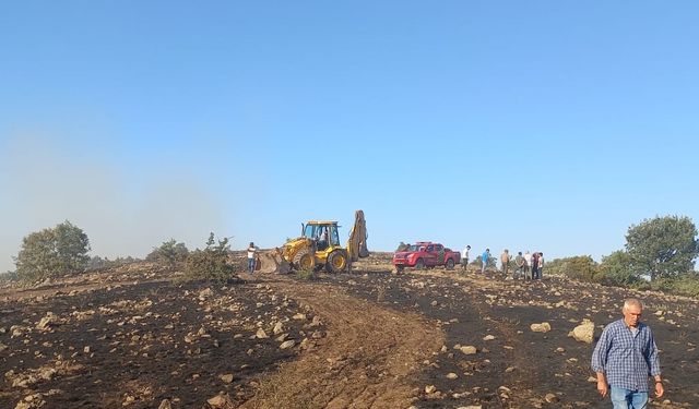 Tokat'ta çıkan örtü yangınında 15 dönüm alan zarar gördü