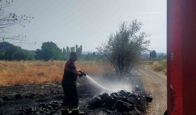 Osmancık’taki örtü yangınında ağaçlar zarar gördü