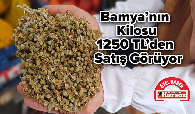 Bamya’nın Kilosu 1250 TL’den Satış Görüyor