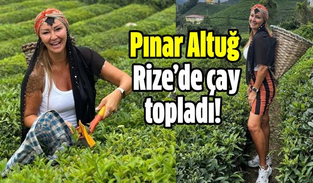 Pınar Altuğ Atacan, Rize’de çay topladı!