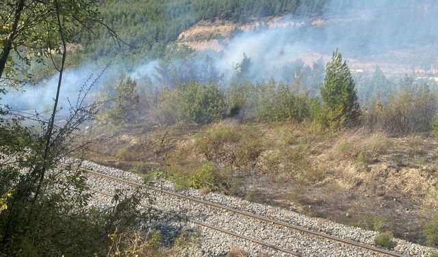 Karabük'te çıkan orman yangınında 15 dönüm alan zarar gördü