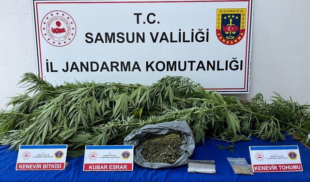 Samsun'da uyuşturucu operasyonunda 1 zanlı yakalandı