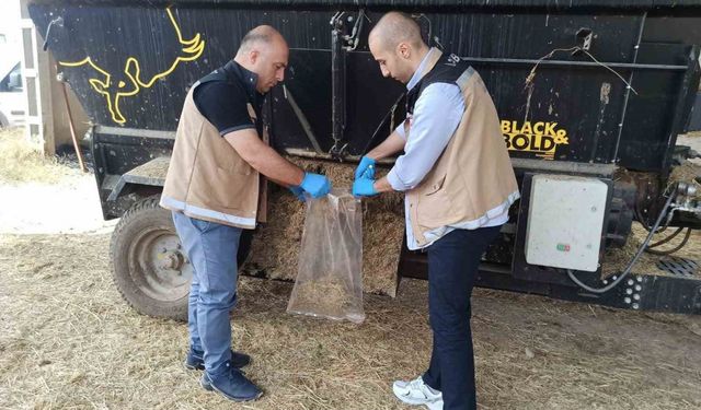 Bayburt’ta yemlerden incelenmek üzere numuneler alındı