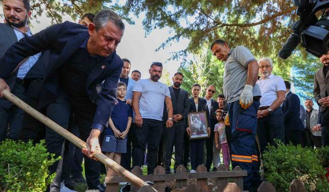 CHP’nin kedisi ’Şero’ Genel Merkez bahçesine defnedildi