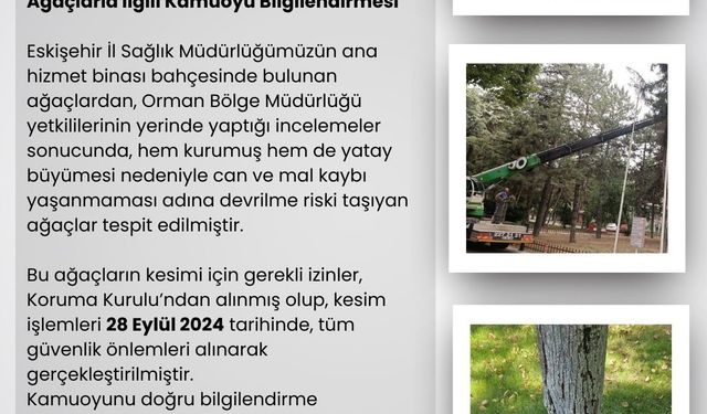 Eskişehir İl Sağlık Müdürlüğü’nün bahçesindeki riskli ağaçlar kesildi