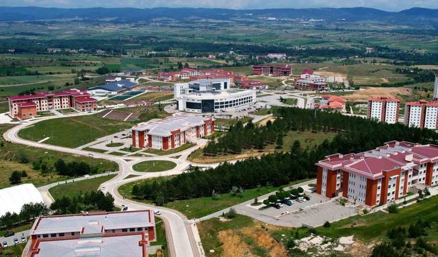 Kastamonu Üniversitesi, defne yaprağını analiz edecek