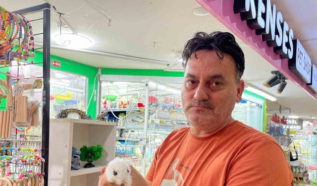 Pet shop’lardan alınan hayvanlar geri getiriliyor