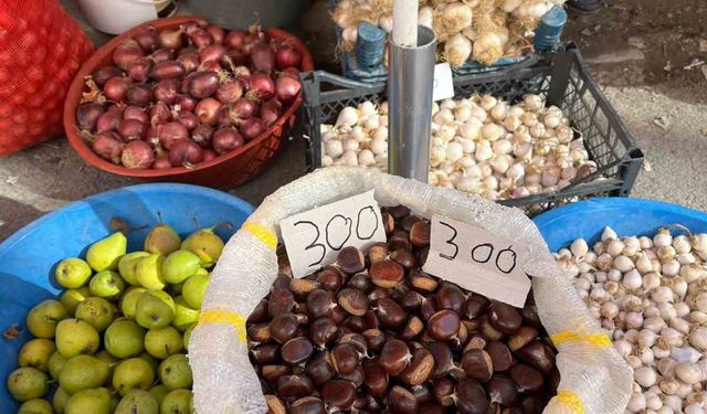 Sinop kestanesi tezgahlarda: Kilosu 300 lira