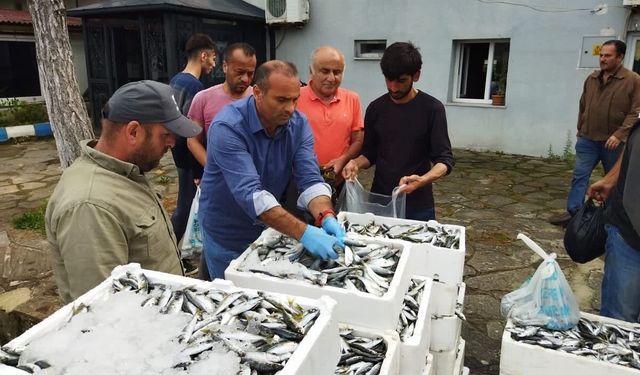 Sinop’ta yasa dışı avlanan 70 kasa balığa el konuldu