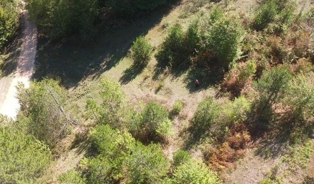 Yasağa rağmen mantar toplamak için ormana girenler dronla tespit edildi