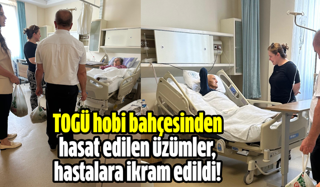 TOGÜ hobi bahçesinden hasat edilen üzümler, hastalara ikram edildi!