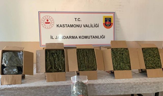 Kastamonu’da esrar ele geçirildi: 1 tutuklama