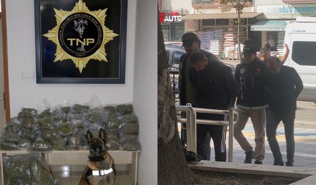 Tokat’ta uyuşturucu operasyonu! 73 kilo skunk yakalandı!