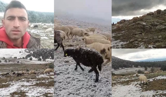 Tokatlı çoban, kar altında söylediği türküyle sosyal medyada ilgi odağı oldu!