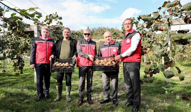 Ordu kivisi, ilin ekonomisine yaklaşık 300 milyon TL katkı sağlayacak