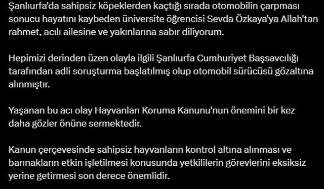 Bakan Tunç’tan Şanlıurfa’da sahipsiz köpeklerden kaçarken ölen kızın ailesine başsağlığı mesajı
