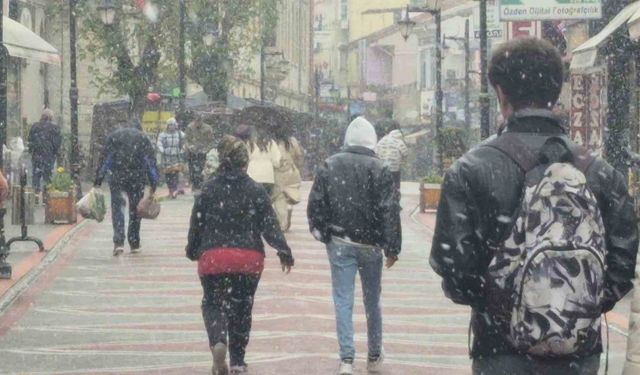 Bartın’da dolu yağışı etkili oldu