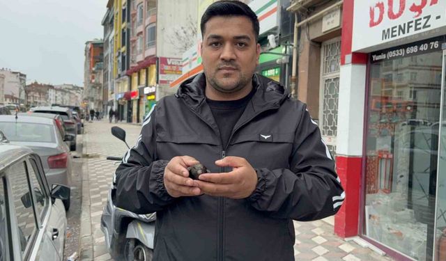 Yaralı sandığı ebabili evinde besledi, daha sonra doğaya bıraktı