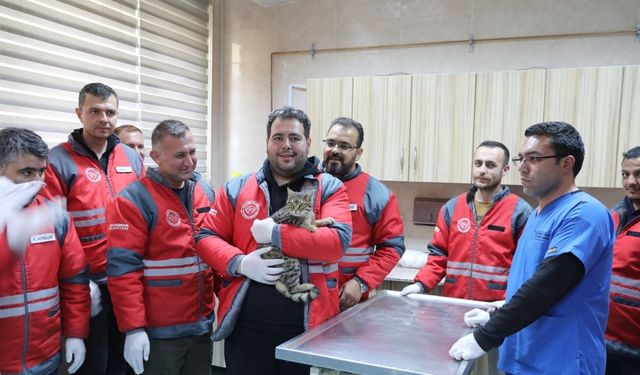 Kocasinan Belediyesi’nden veterinerlik personeline sertifikalı eğitim