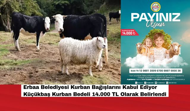 Erbaa Belediyesi Kurban Bağışlarını Kabul Ediyor! Küçükbaş Kurban Bedeli 14.000 TL Olarak Belirlendi