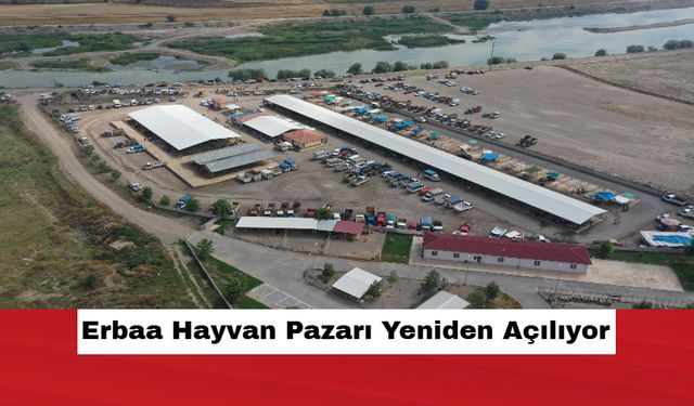 Erbaa Hayvan Pazarı Yeniden Açılıyor