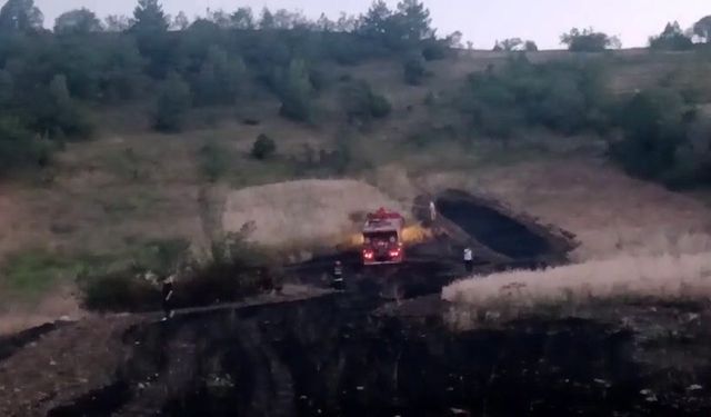 Alevler tarlayı sardı, ekipler eve sıçramasını önledi