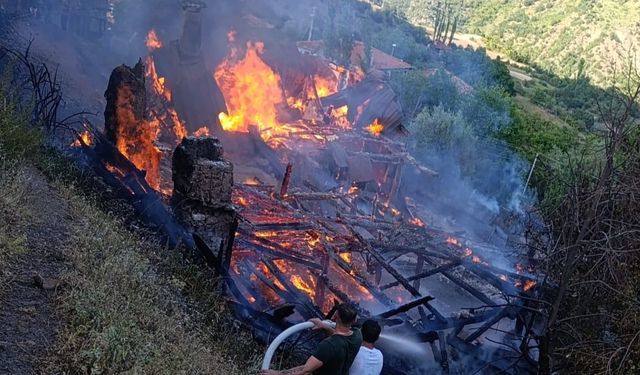 Köyde çıkan yangın 2 evi küle çevirdi