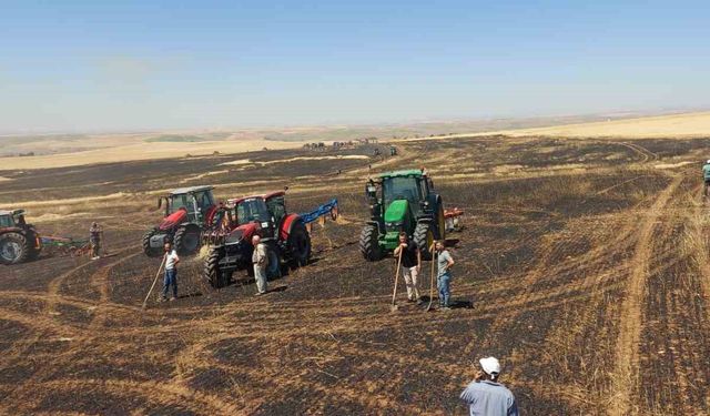 Yozgat’ta 100 dönüm ekili alan kül oldu