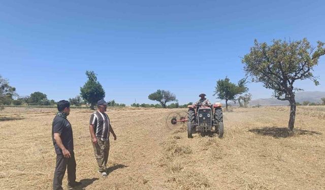 Beyşehir’de hibe destekli ekilen yem bitkilerinde hasat sürüyor