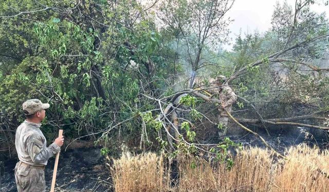 Eskişehir’den Bilecik yangınına giden jandarma ekipleri döndü