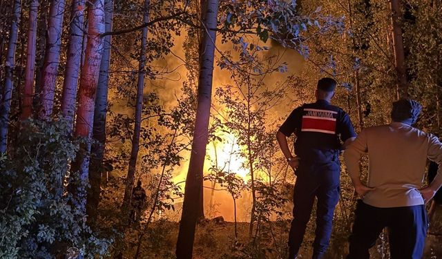 Karaman’da baraka yangını