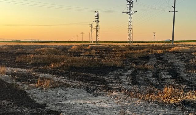 Karapınar’da buğday tarlasında yangın