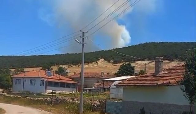 Seyitgazi’de orman yangını
